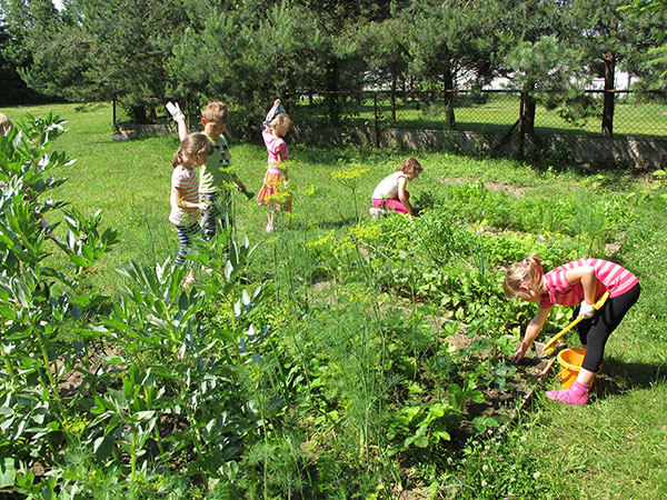 edukacja-ekologiczna2