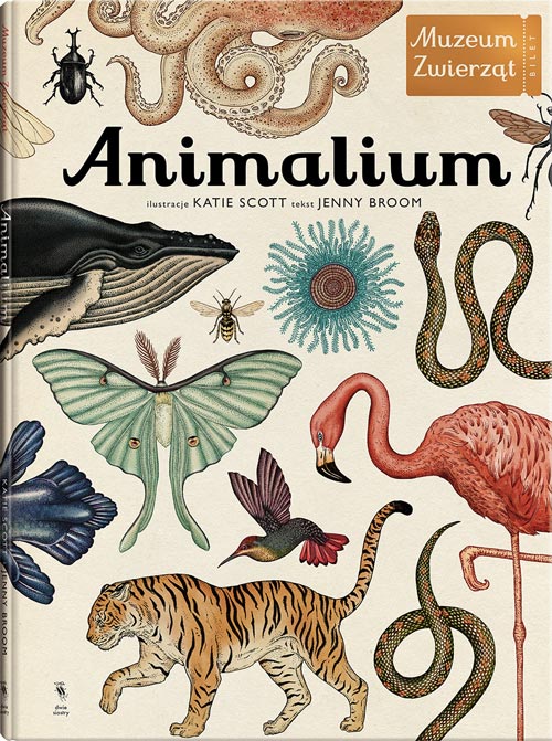 animalium2